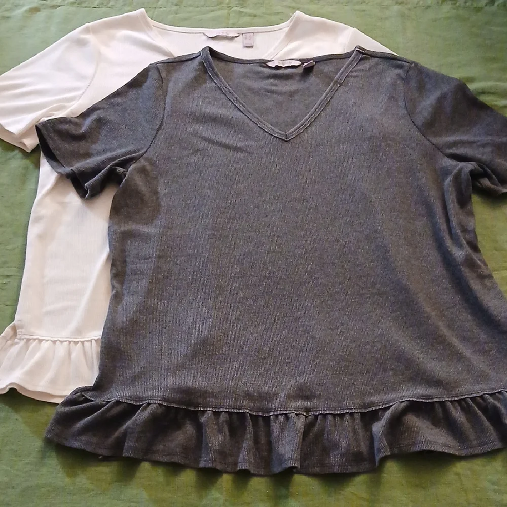 AnyBody Gray and White Tops Set - Picture 1 of 9